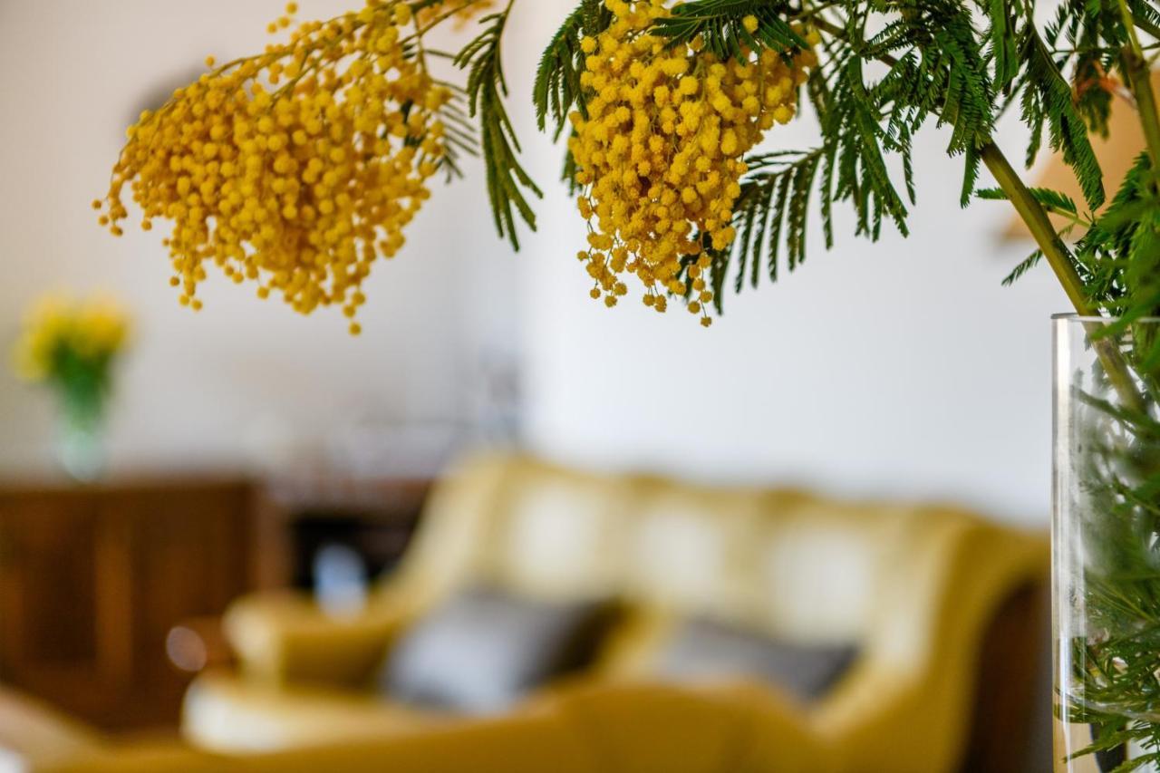 Apartament Noli Rakalj